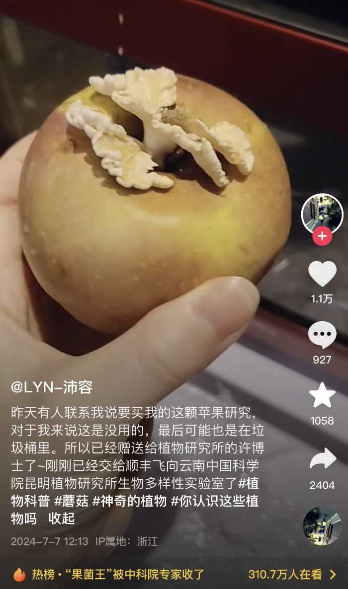 一颗长蘑菇的苹果，何以引发一场科普“追更潮”？