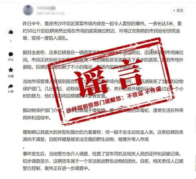 重庆某菜市场惊现巨蟒?谣言 相关部门证实并无此事发生